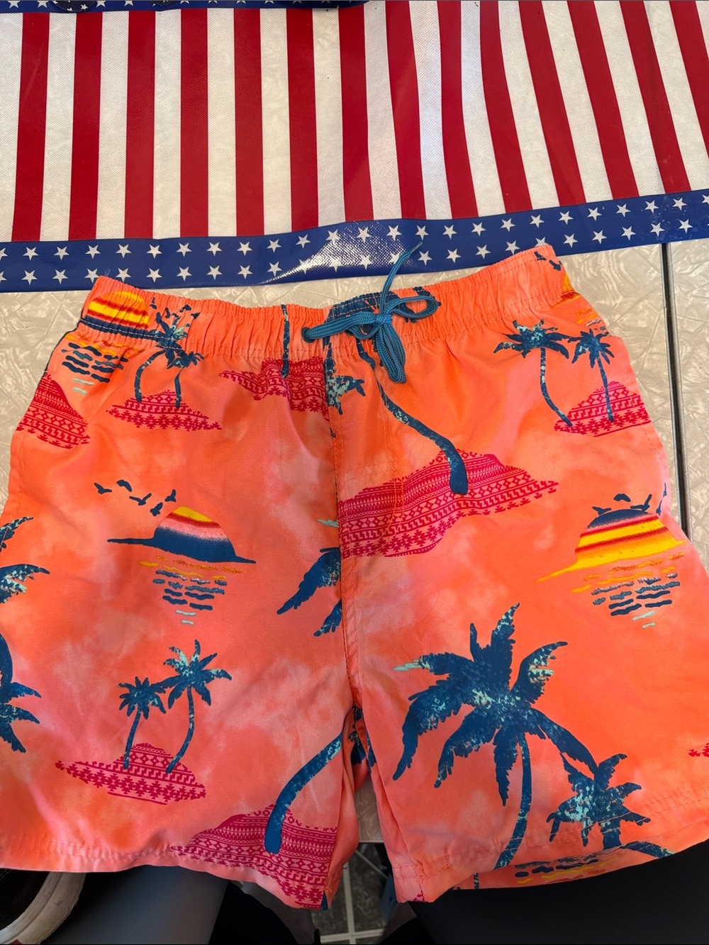 burnside Coral Swim Shorts with Blue Palm Print